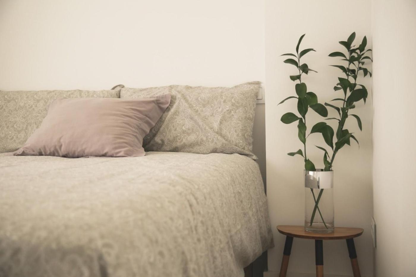 Romantico Apartamento En El Centro Santender Kültér fotó